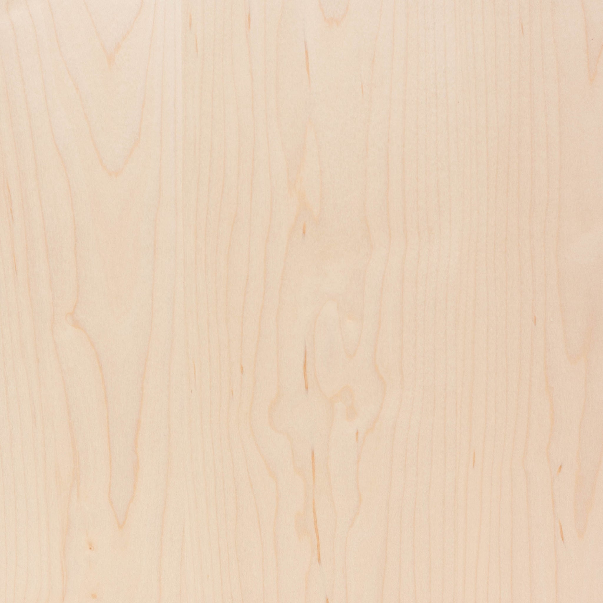 Hard Maple Sample Maple Samples – artisanshelf
